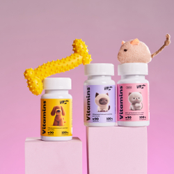 NL Pets Общеукрепляющий витаминный комплекс для собак 90шт