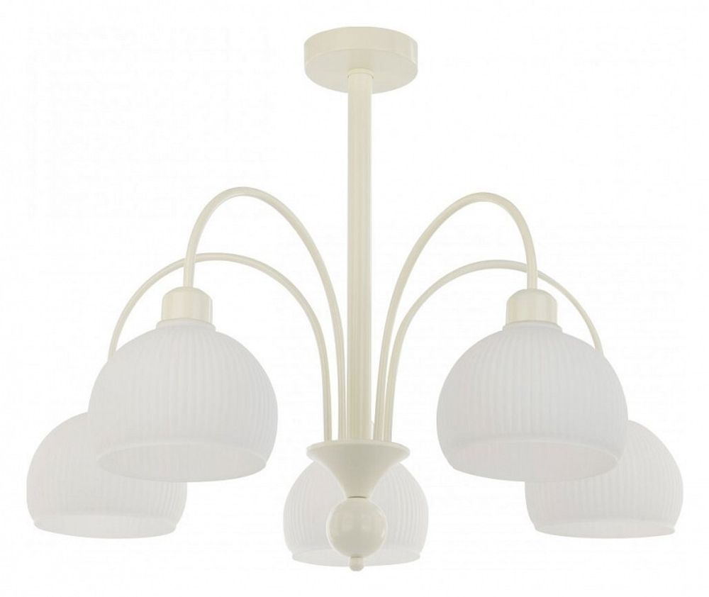 Люстра на штанге Arte Milano AM-Napoli 313066/D700/5 IV