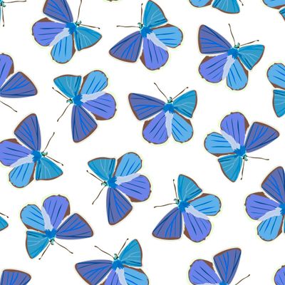 Butterflies seamless pattern.