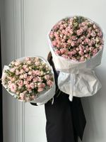 Букет моно из кустовых роз 25 шт в нежно-розовом оттенке