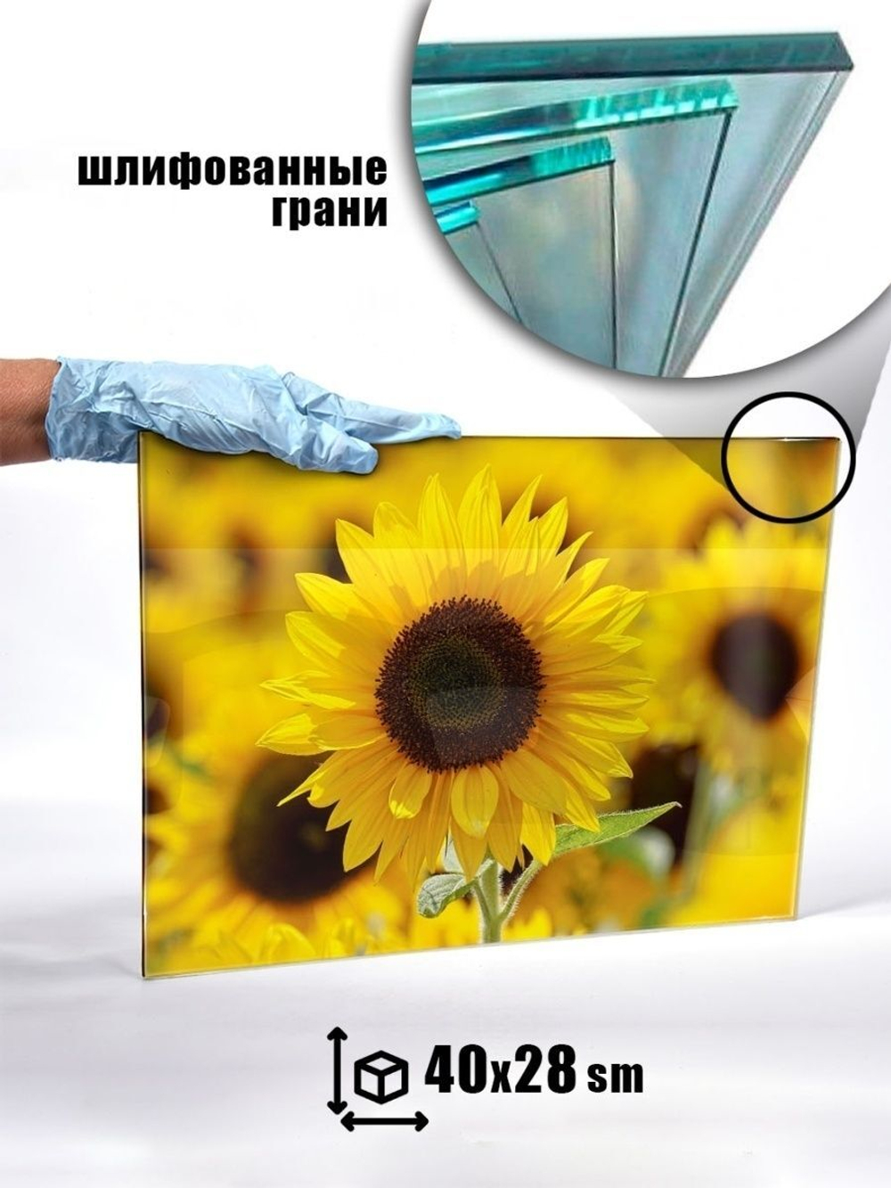 Модульная стеклянная интерьерная картина /Фотокартина на кухню /Летнее настроение /Цветы, 28x40 (желтый / коричневый)