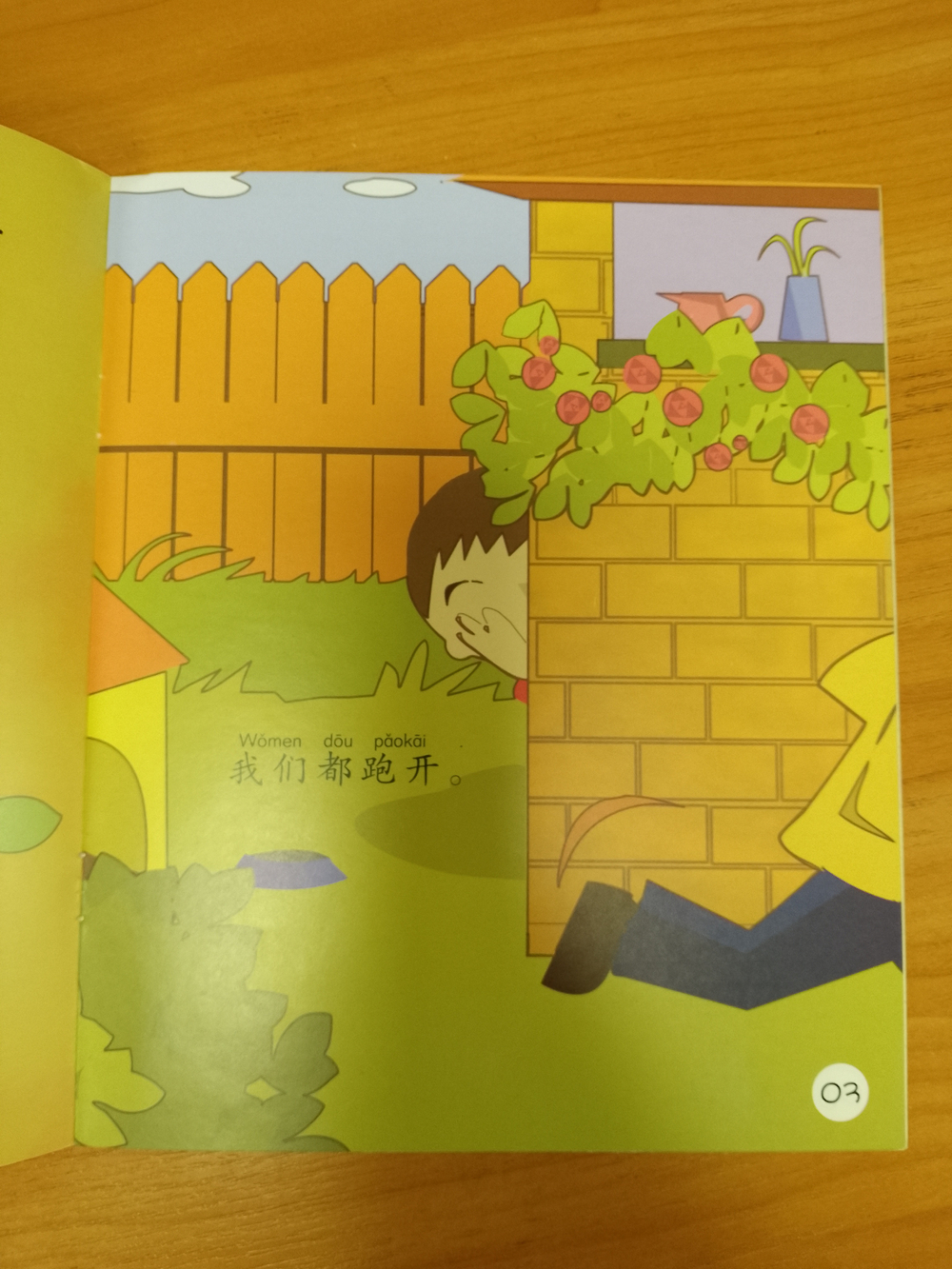 Sinolingua Reading Tree - Starter Level - Play Hide-and-Seek