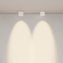 Светильник потолочный светодиодный Maytoni Lens C217CL-15W3K-W