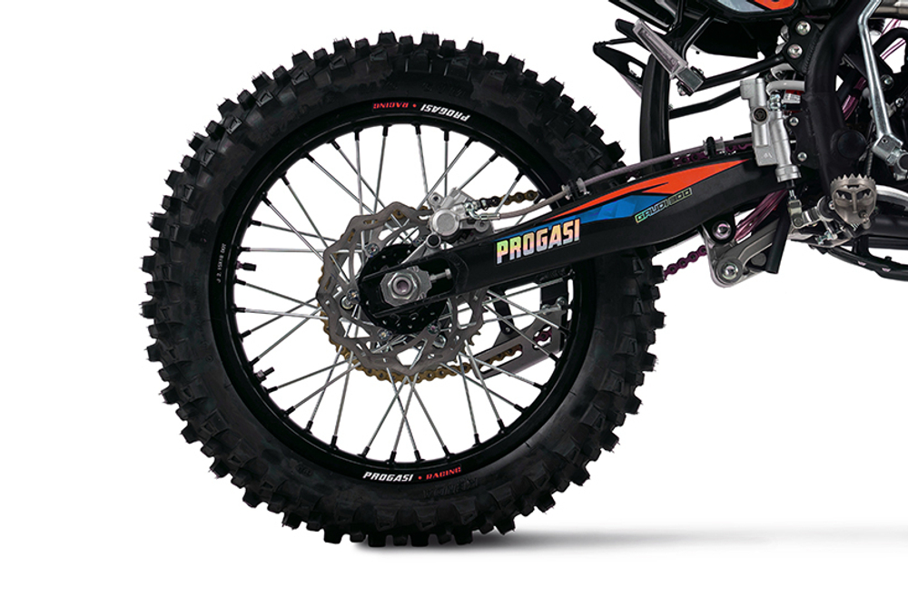 Мотоцикл PROGASI GAUDI 300