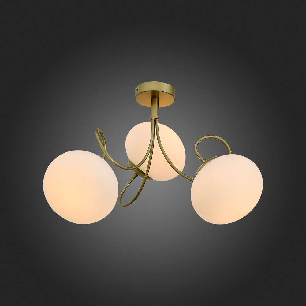 Светильник потолочный Evoluce Acini SL717.202.03