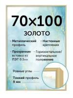Алюминиевая фоторамка 70х100 см