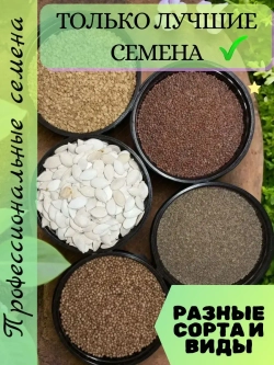 Семена Статица Суприм голубая - 1 грамм