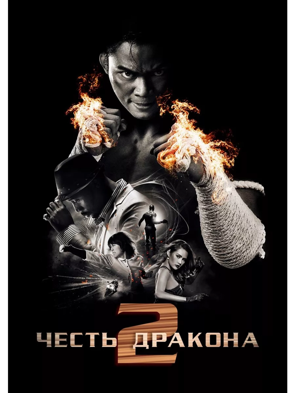 Честь дракона 2 (2013) (DVD-R)