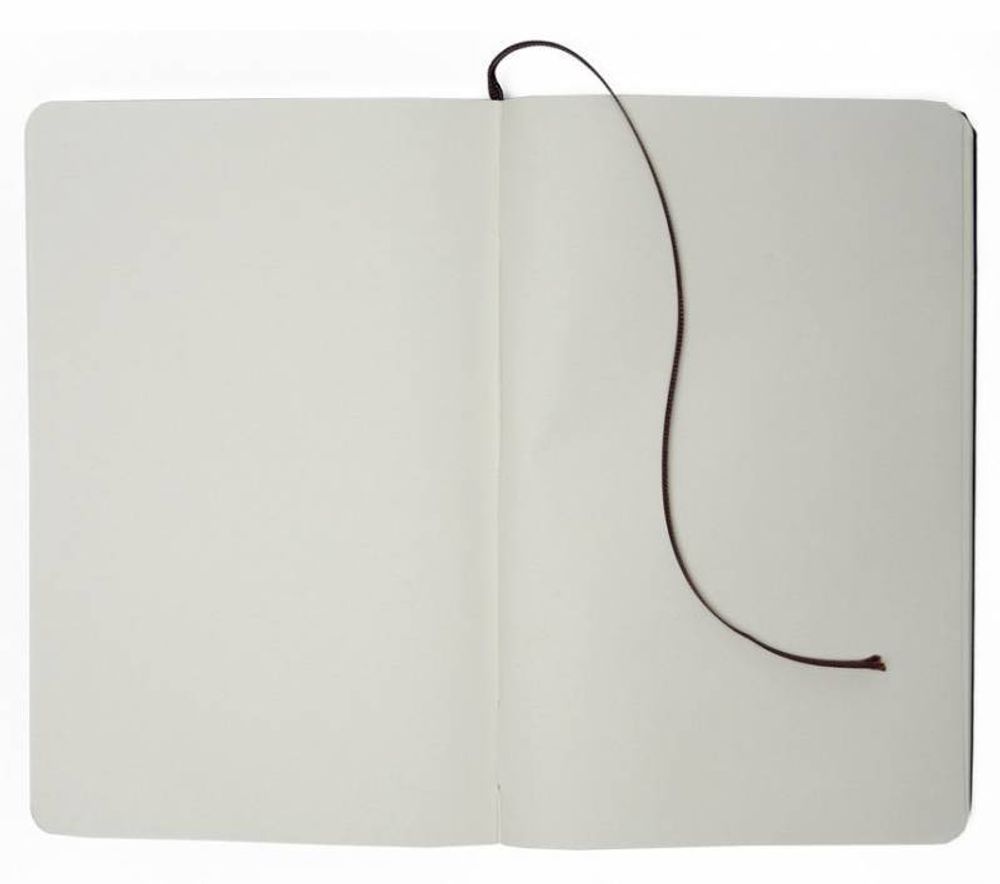 Блокнот Moleskine Classic Large 240 стр нелинованный (QP062R)