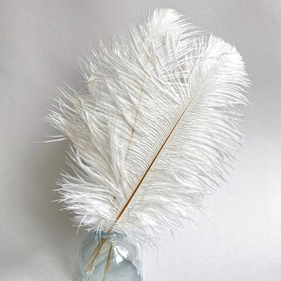 Перо страуса молочно-белое 15 - 20 см.
