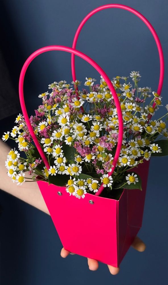 Композиция