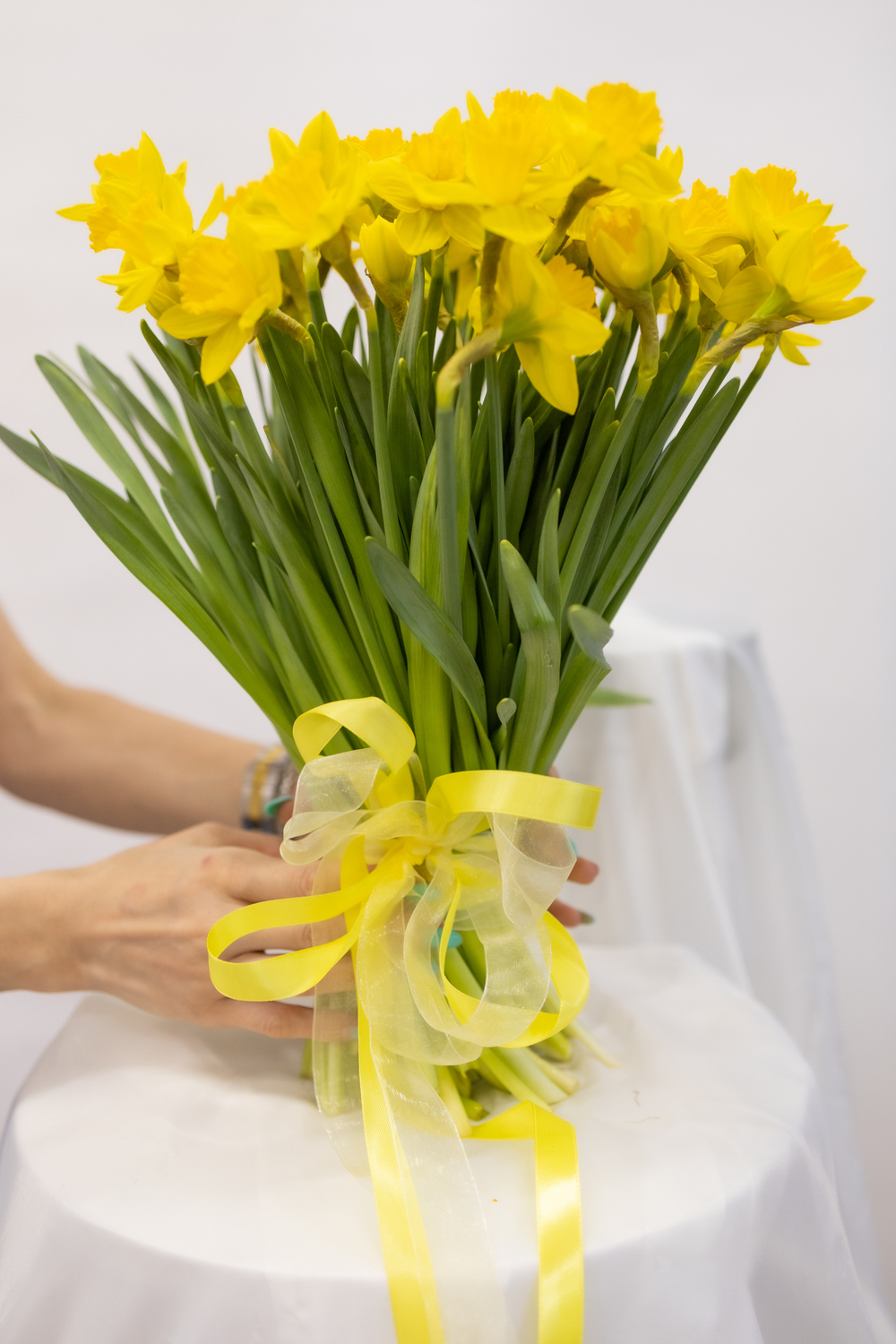 Букет из 50 солнечных нарциссов