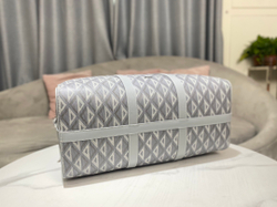 Christian Dior Lingot 50 Bag
