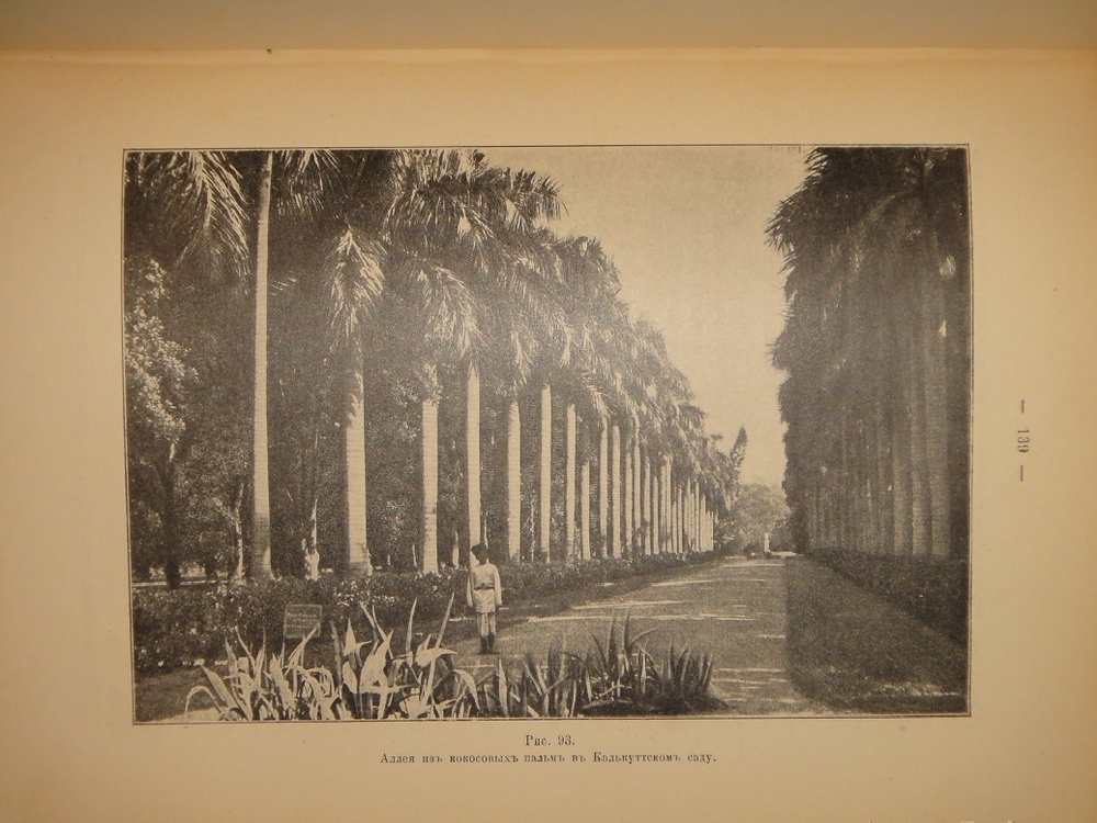 "Среди патриархов земледелия народов Ближнего и Дальнего Востока ( Египет, Индия, Цейлон, Китай и Япония ). В 3-х томах". И.Н.Клинген. 1899г.