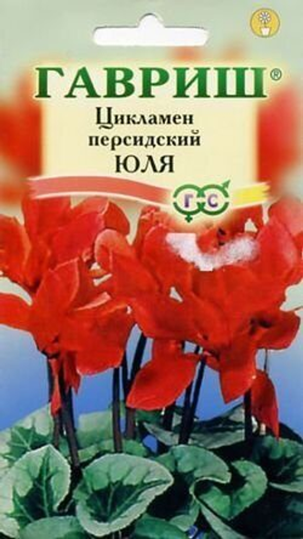 Цикламен персидский Юля 3шт (Гавриш) - комнатное растение