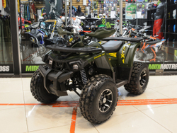 SHARK PRO 150 CC
