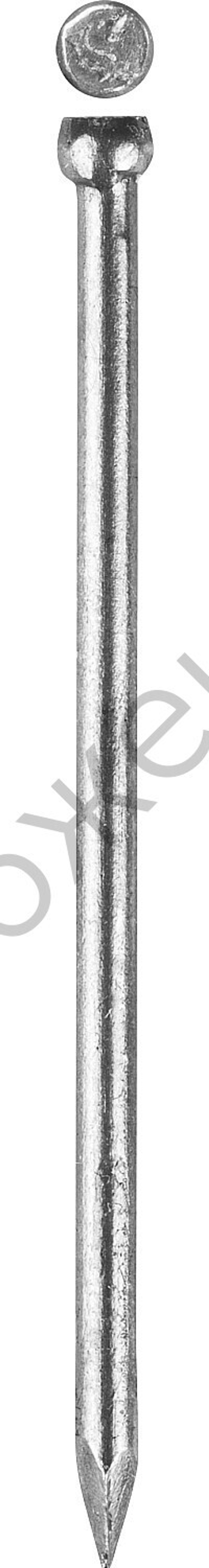 ЗУБР 25 х 1.4 мм, финишные гвозди венге, 5 кг, Профессионал (305370-14-25)