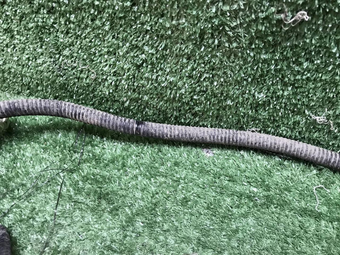 Проводка заднего бампера Haval F7 (2018-2024)