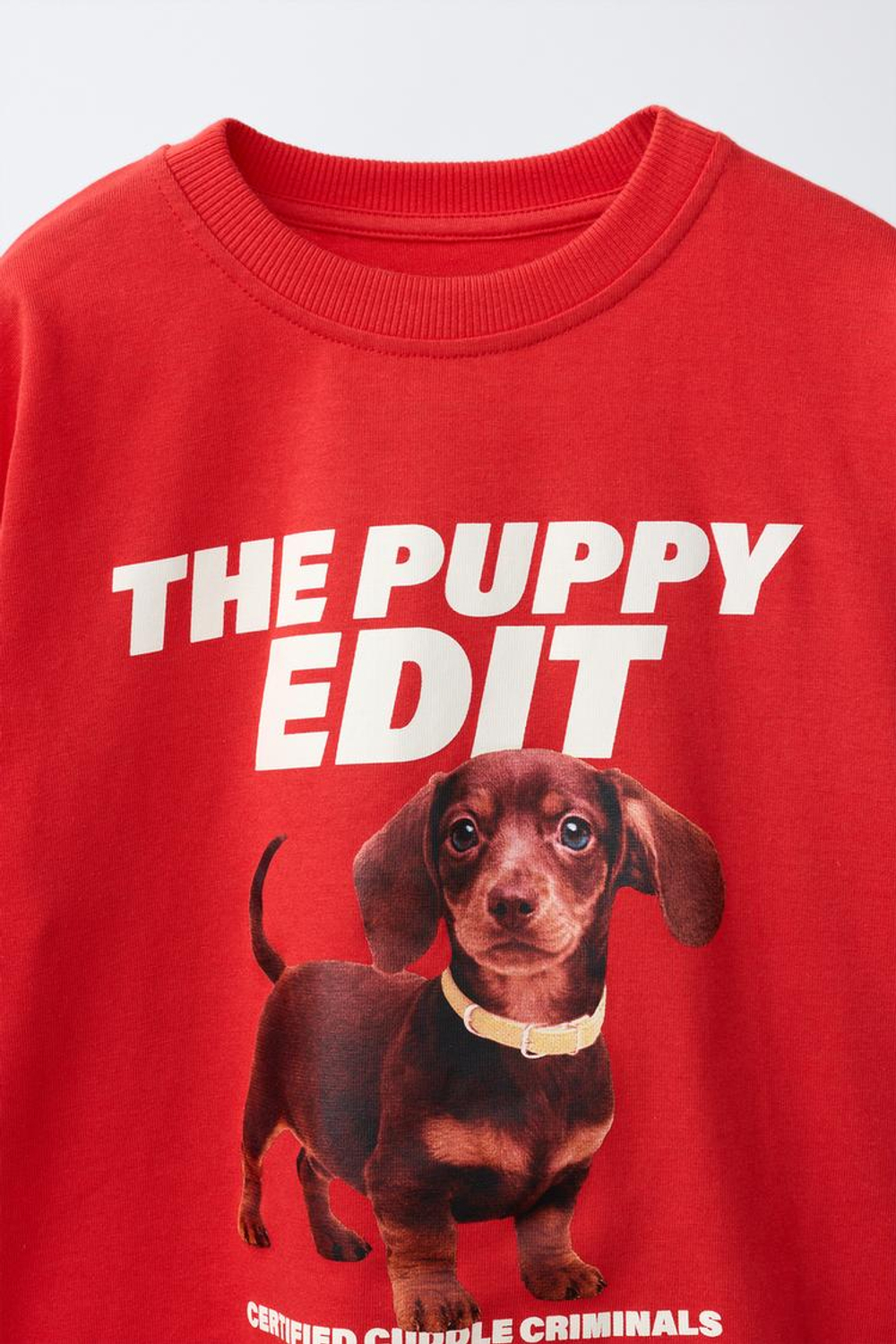 ZARA ФУТБОЛКА С ПРИНТОМ «СОБАКИ», КРАСНЫЙ