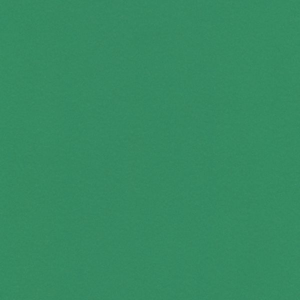 Бумага цветная 120 г/м², A4 21х29.7 см, 50 шт, 25 темно-зеленый/dark green, Vista-Artista MPO-A4
