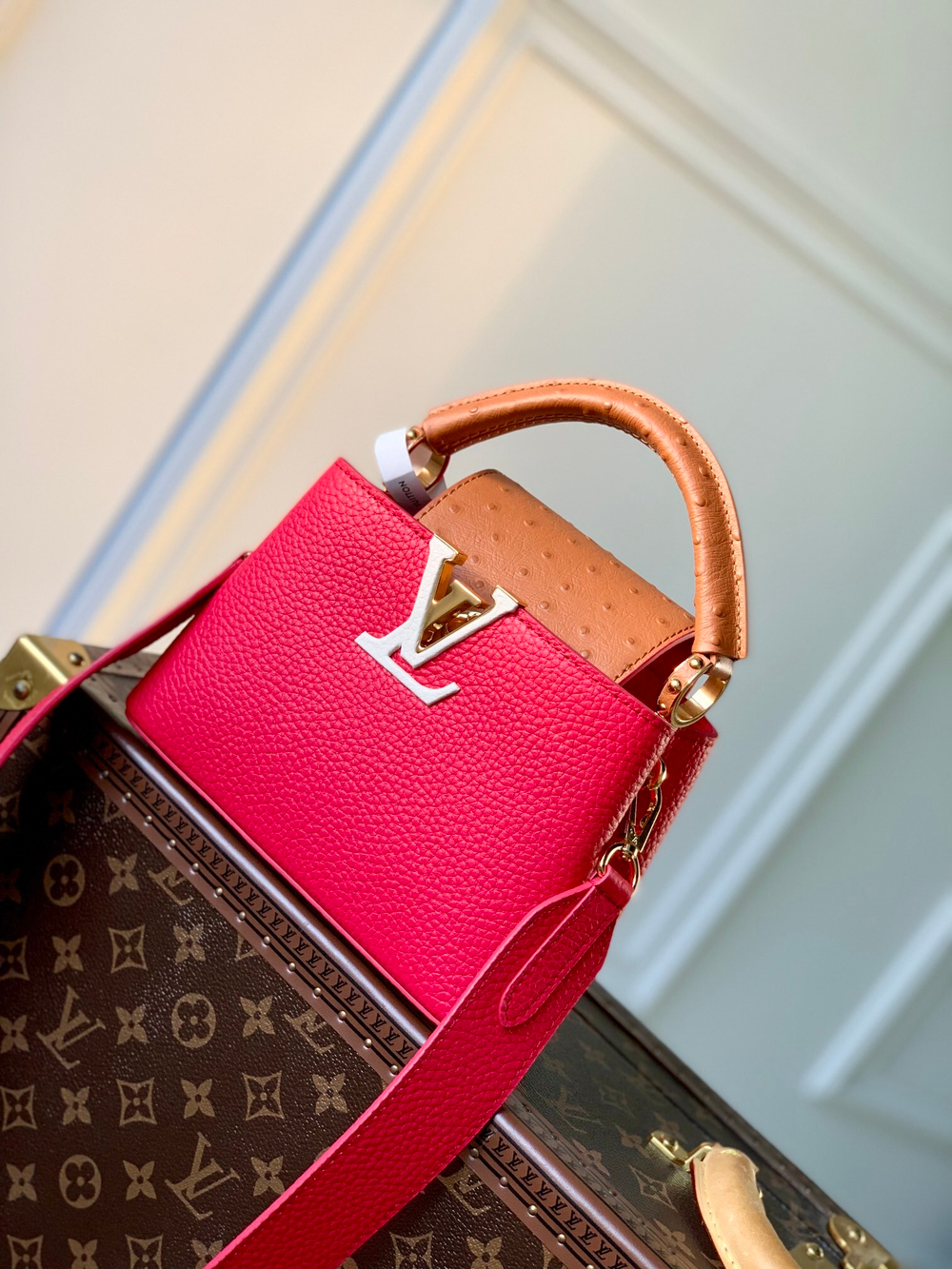 Louis Vuitton Capucines Mini