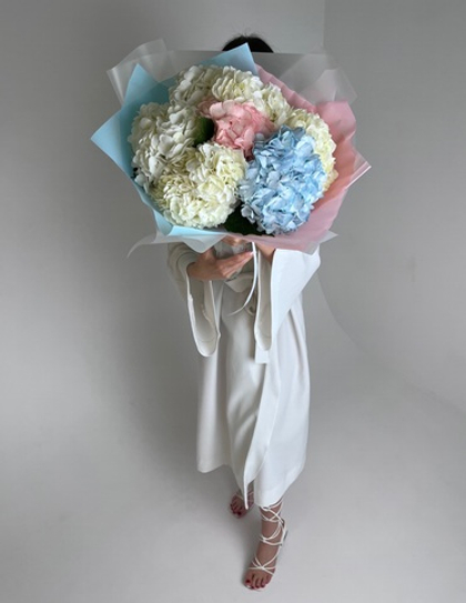 Микс гортензий Кулумбианка