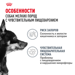 Royal Canin Mini Digestive Care Корм сухой для взрослых собак мелких размеров с чувствительным пищеварением - 3 кг