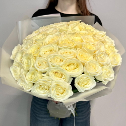 51 белая Роза премиум