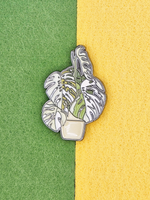 Значок Монстера Альба