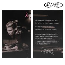 Набор салфеток для чистки и полировки бильярдного кия KAMUI Dr.Z Shaft Prescription in Pink and Gray