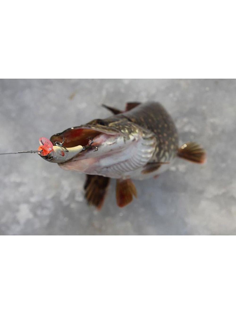 Воблер Минноу MACHNO 90mm, цвет 018 (карась), 2 штуки