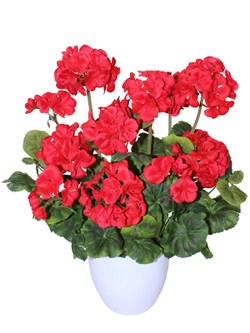 Искусственные цветы Герань красная густая 40см в белом кашпо
