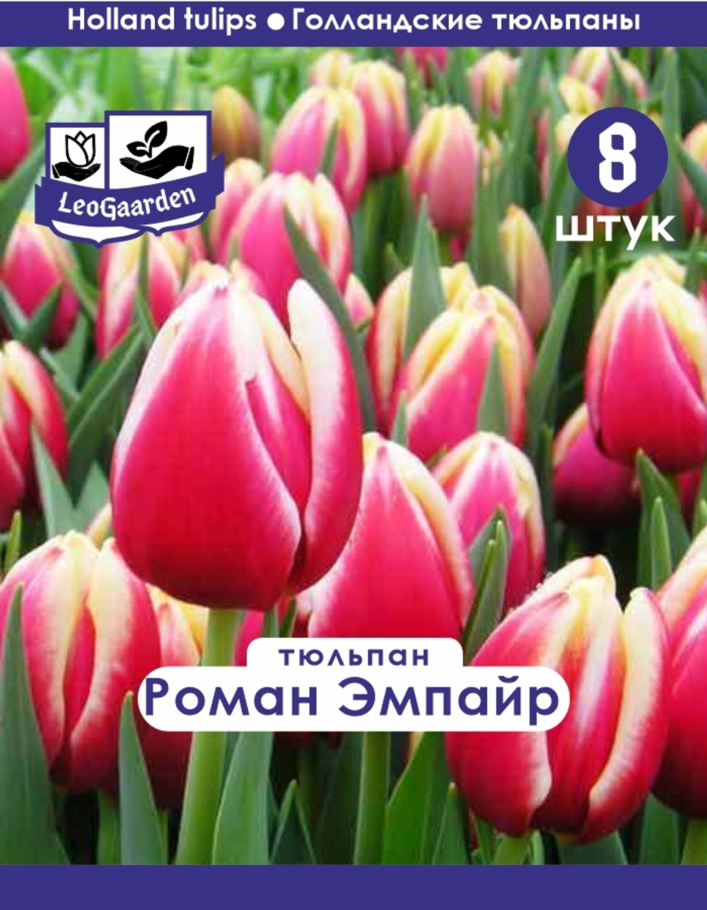 Тюльпан Луковица, Роман Эмпайр, 8 шт