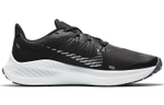 Кроссовки Nike Zoom Winflo 7 Shield