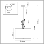 Люстра подвесная Odeon Light 5425/3 CACTUS