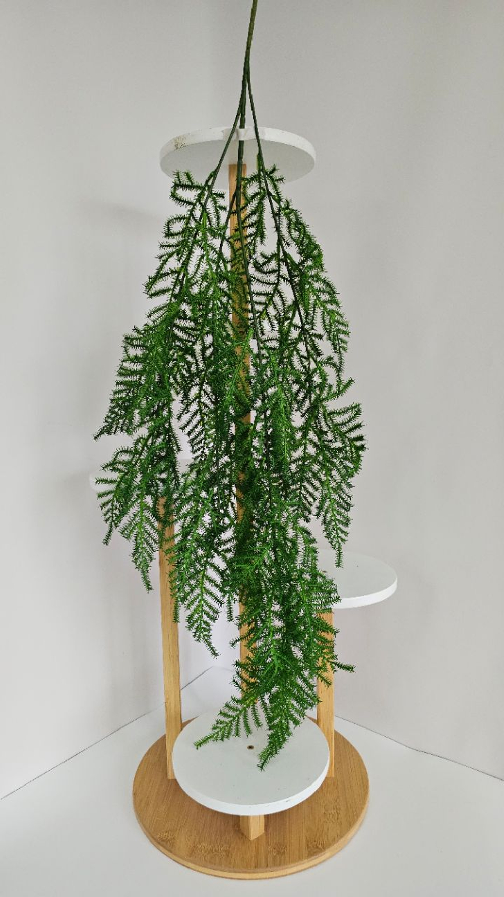 Аспарагус / Арт 4425