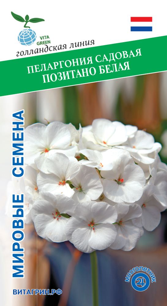 Пеларгония садовая Позитано Белая 5шт Мировые Семена VITA GREEN