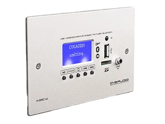 CVGAUDIO N-SRC-W внешний универсальный настенный источник сигнала