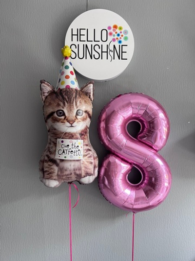 Набор шаров Милый котик в колпаке