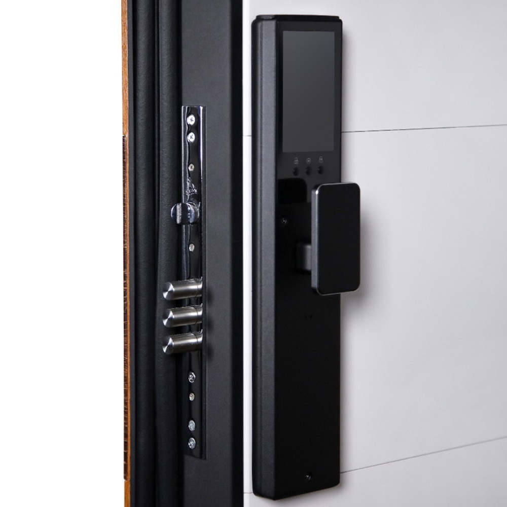 Стальная дверь "Денвер"  (биометрический замок). Заказная модель.