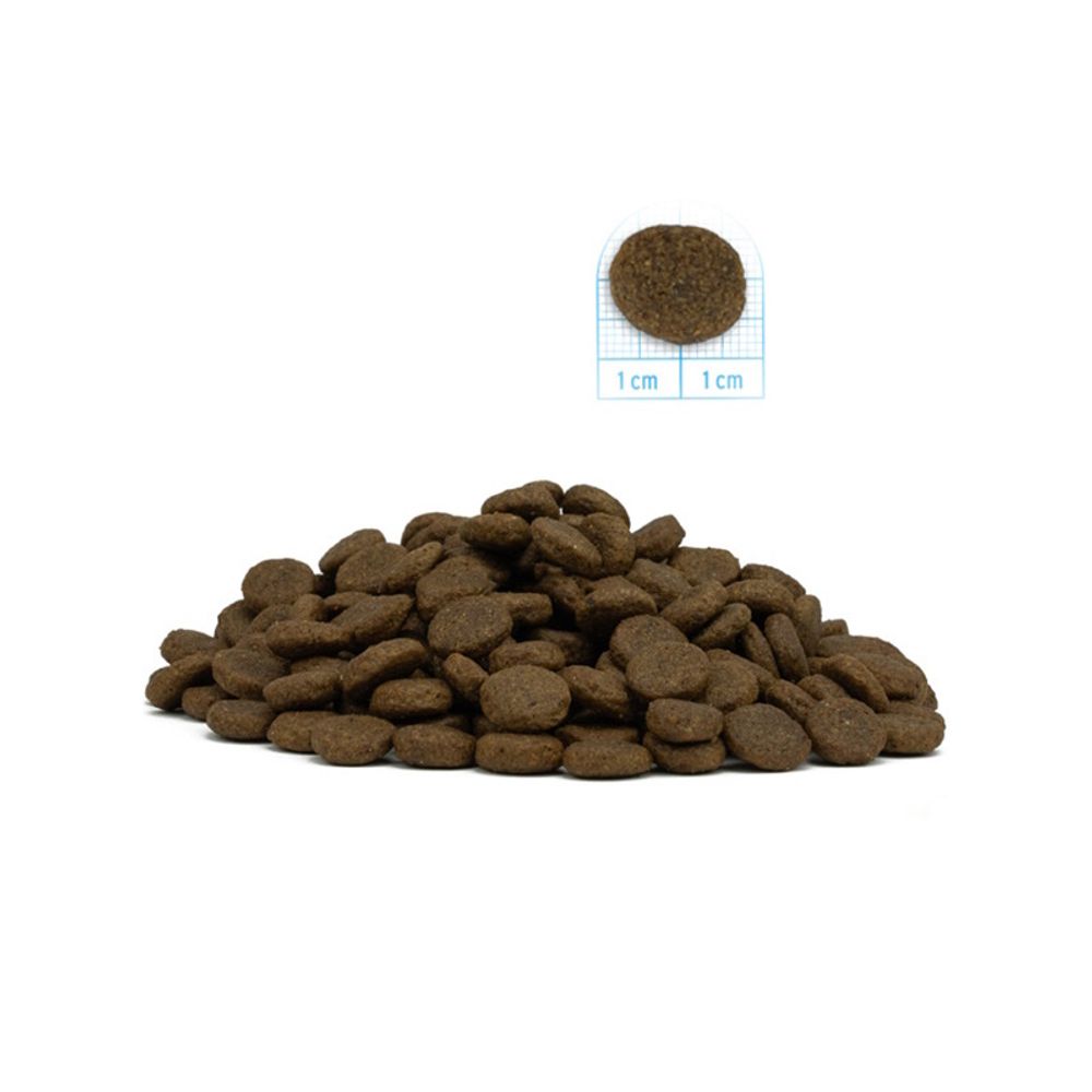 Сухой беззлаковый монобелковый корм Forza 10 MonoDIET Sensitive Skin Adult M/L для взрослых собак средних и крупных пород с чувствительной кожей и шерстью