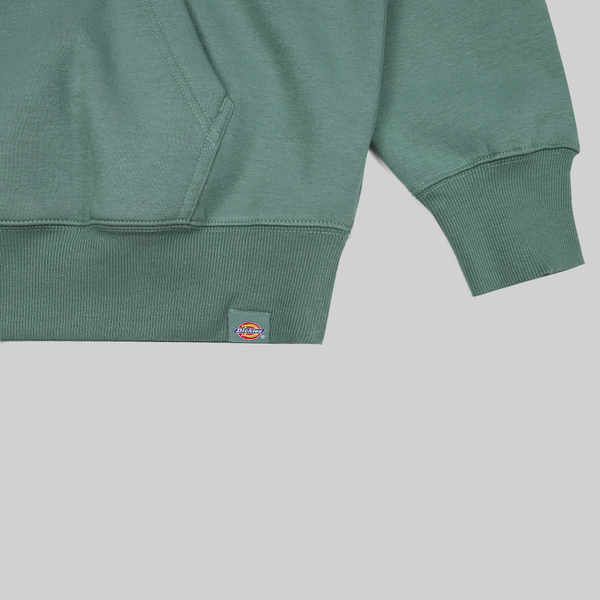 Толстовка мужская Dickies Park Hoodie артикул:DK0A4YEHH151 - купить в магазине Дайс