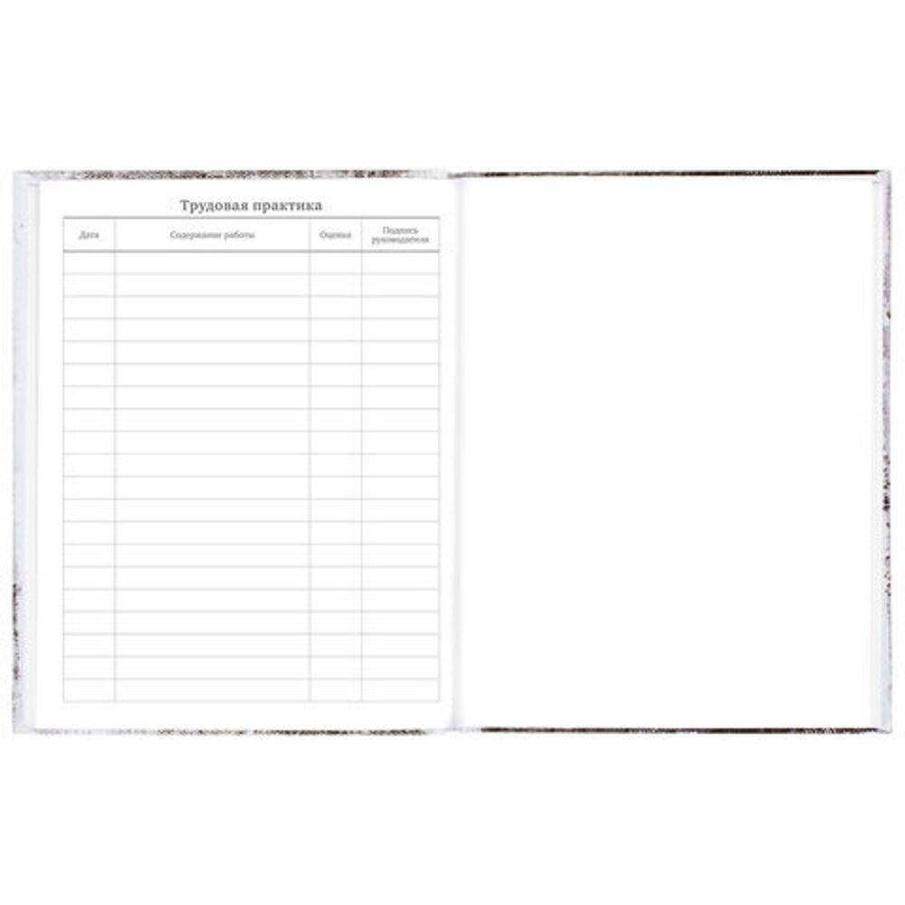 Дневник 5-11 класс 48 л., твердый, BRAUBERG, глянцевая ламинация, с подсказом, "Крутой Байк", 106391