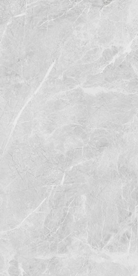 Керамогранит Belvedere Eva Grey Polished (N20467)