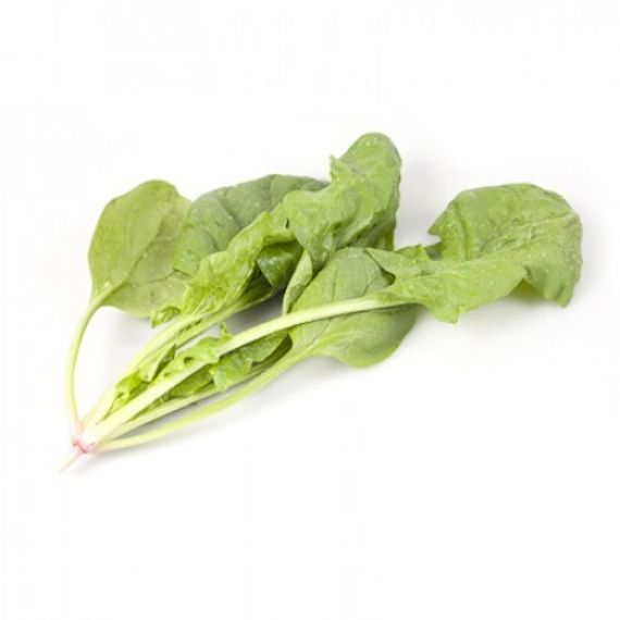 ПУМА F1 семена шпината (Rijk Zwaan | Alexagro)