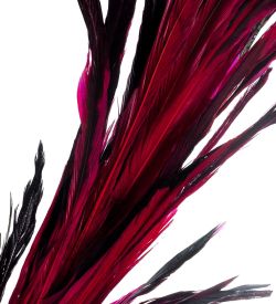 14-064 Декоративный веничек из перьев (о. Бали)