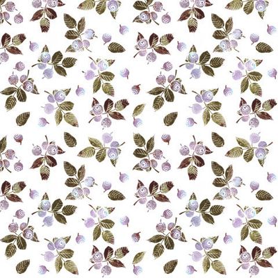 Черника мелкая