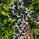 Панель из зелени на сетке GR-01, размер 100х100 см.