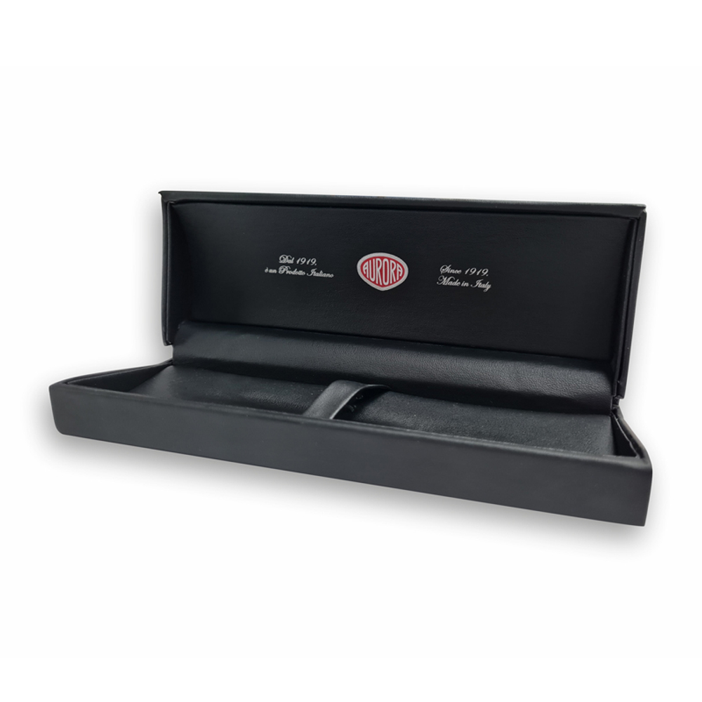 Шариковая ручка Aurora Ipsilon satin Black PGT