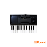 Roland Boutique K-25m